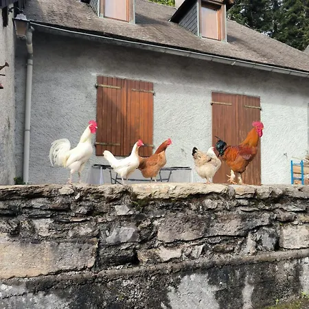 Hotel Château D'arance Restaurant Espace Bien-être 3*